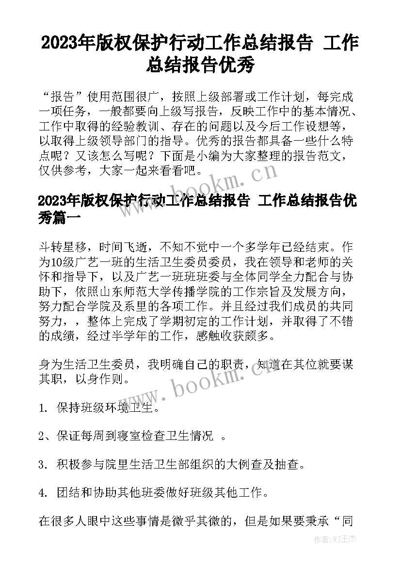 2023年版权保护行动工作总结报告 工作总结报告优秀