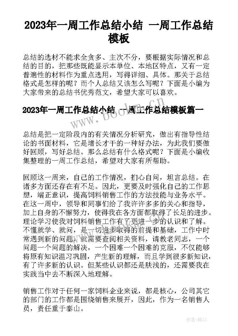 2023年一周工作总结小结 一周工作总结模板