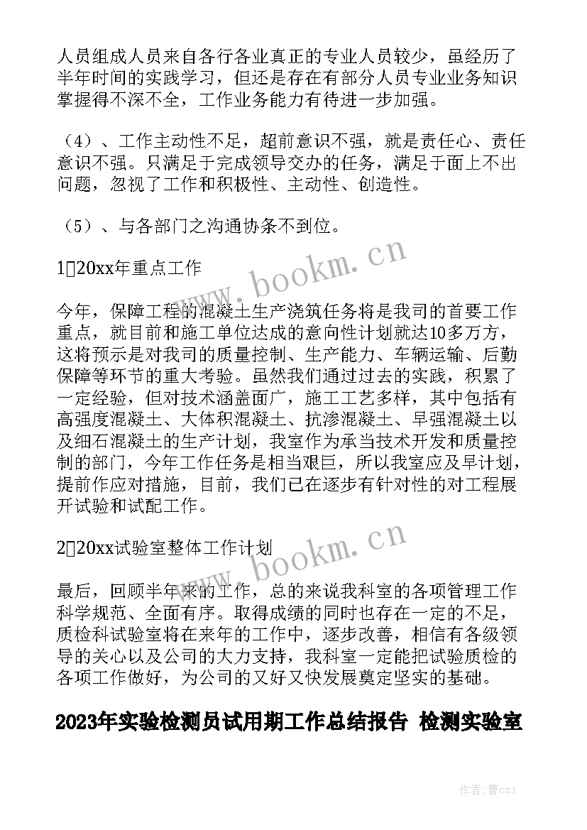 2023年实验检测员试用期工作总结报告 检测实验室工作总结优质