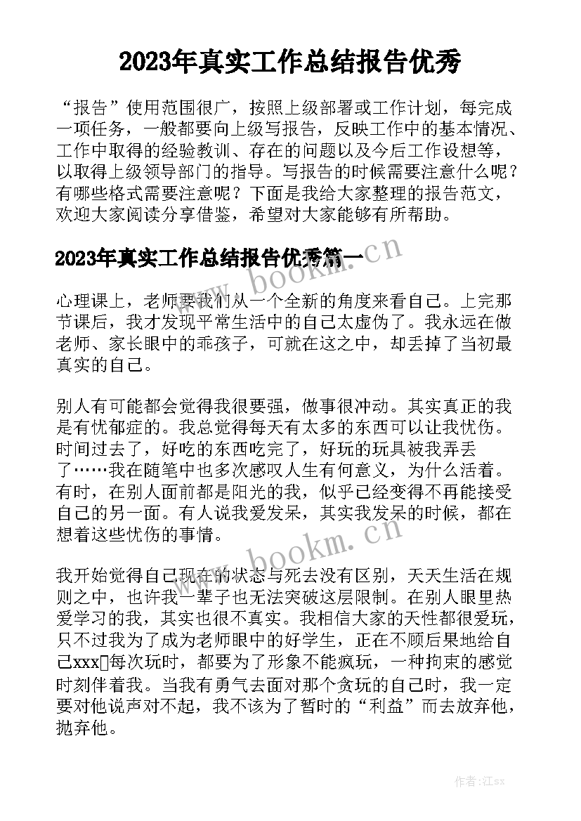 2023年真实工作总结报告优秀