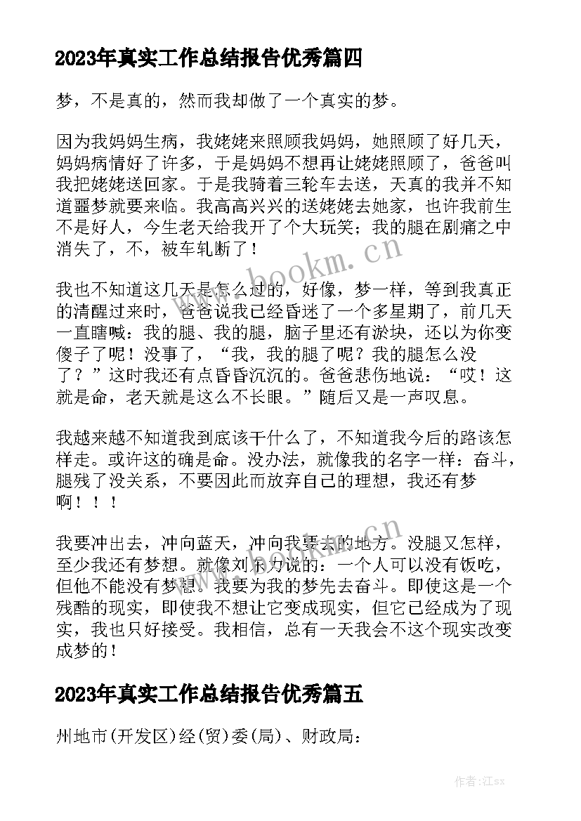 2023年真实工作总结报告优秀