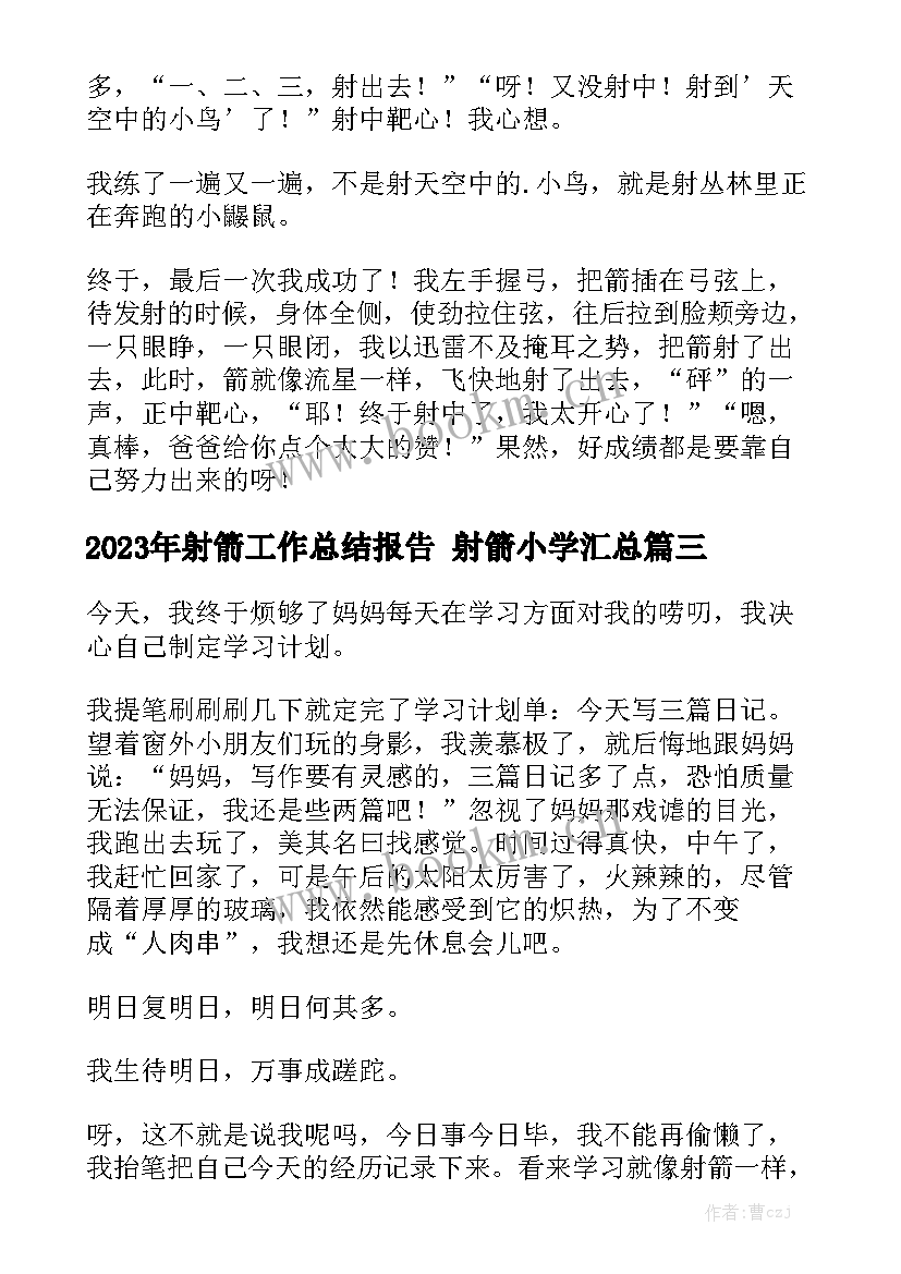 2023年射箭工作总结报告 射箭小学汇总