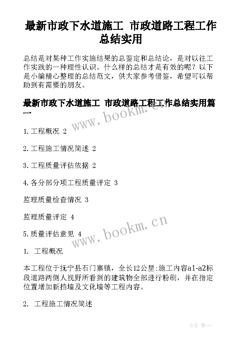 最新市政下水道施工 市政道路工程工作总结实用