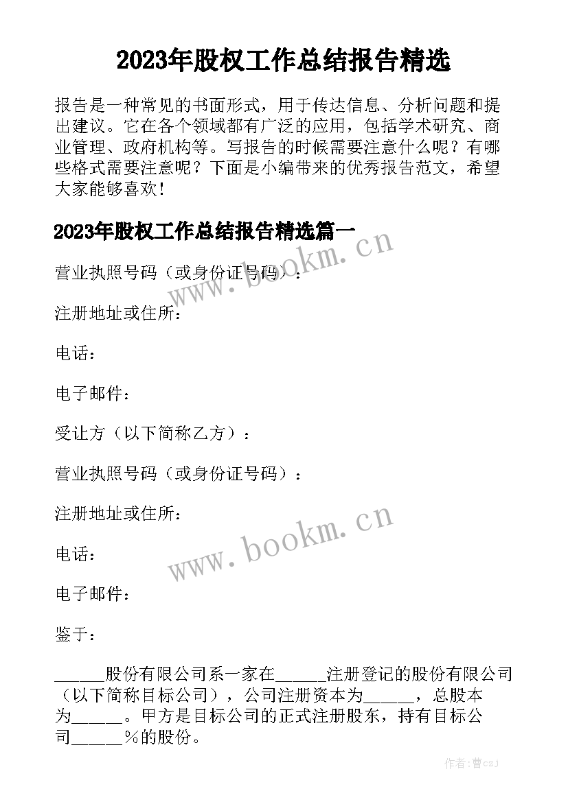 2023年股权工作总结报告精选