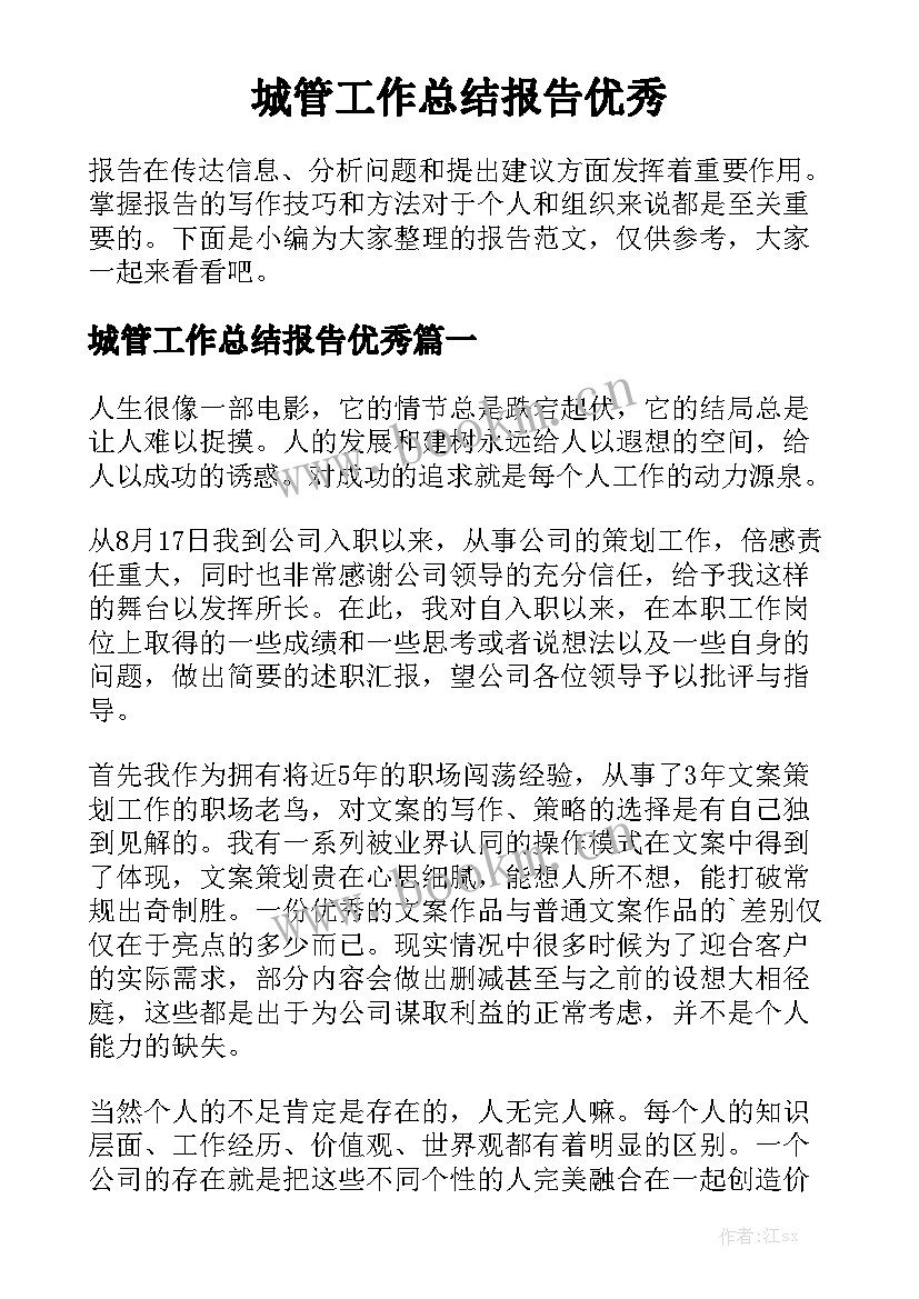 城管工作总结报告优秀