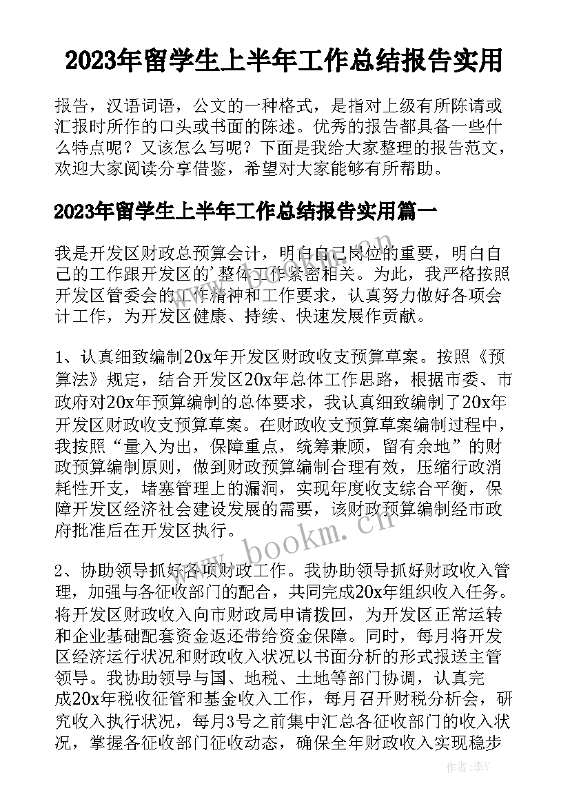 2023年留学生上半年工作总结报告实用