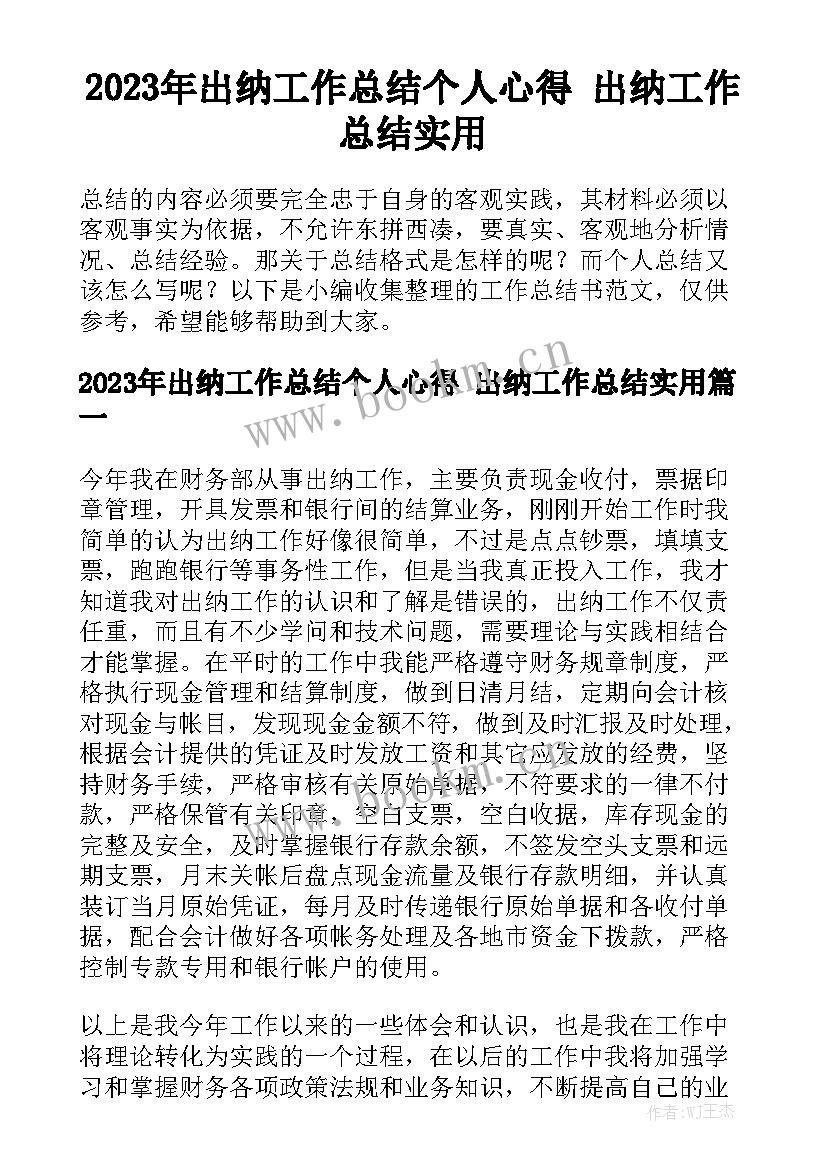 2023年出纳工作总结个人心得 出纳工作总结实用