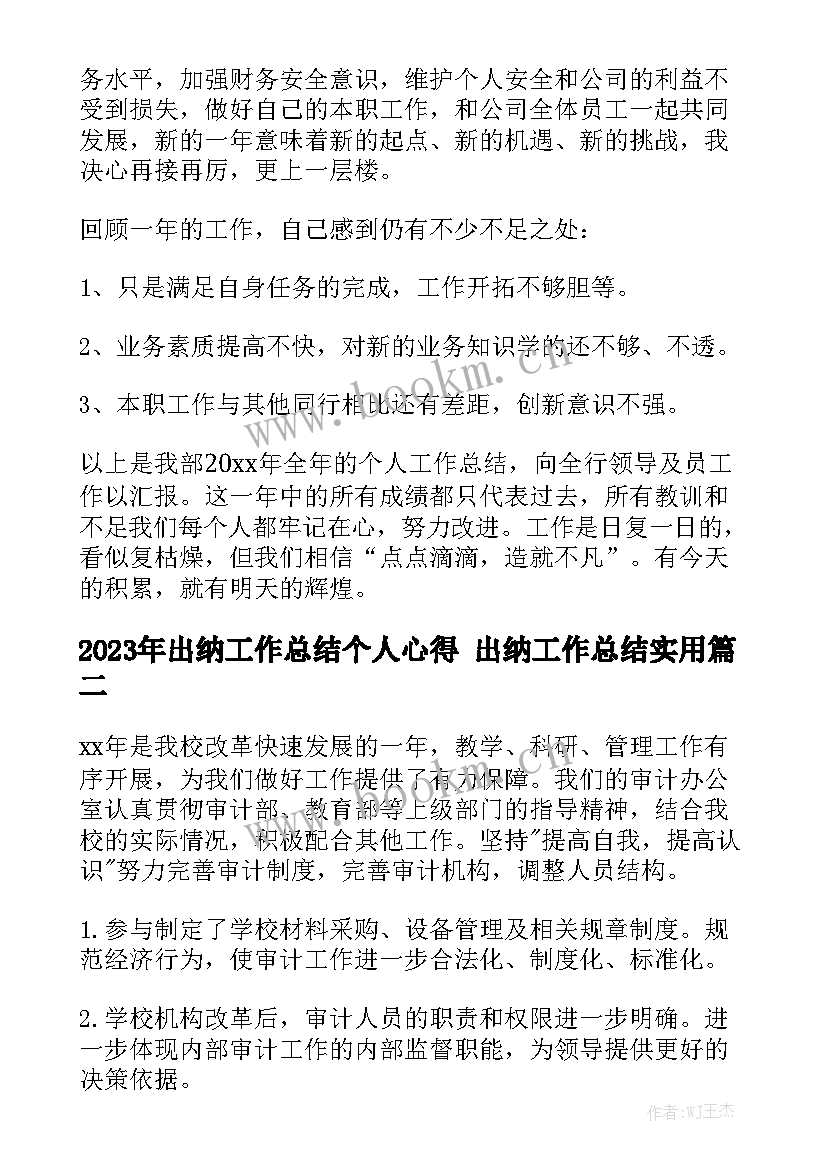 2023年出纳工作总结个人心得 出纳工作总结实用