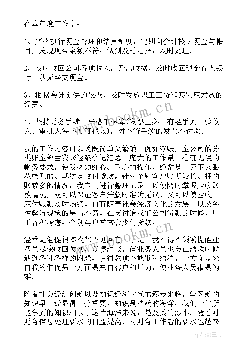 2023年出纳工作总结个人心得 出纳工作总结实用