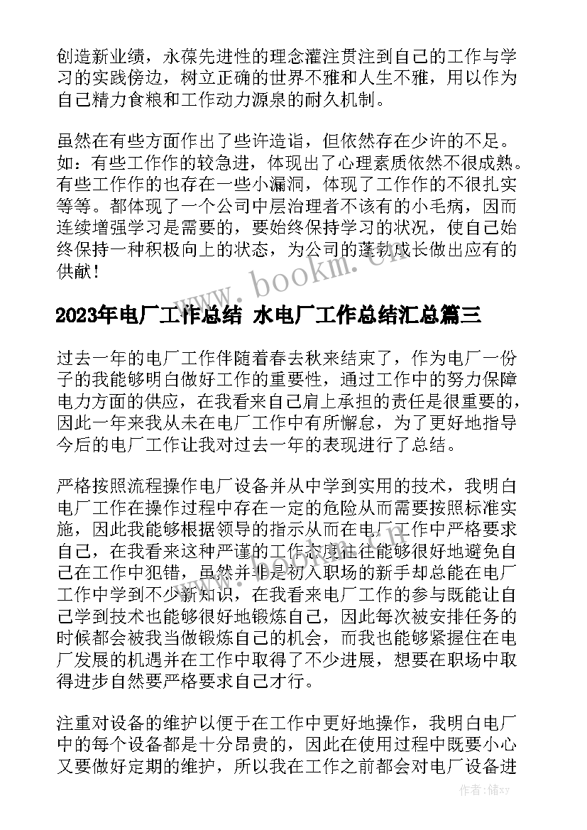 2023年电厂工作总结 水电厂工作总结汇总