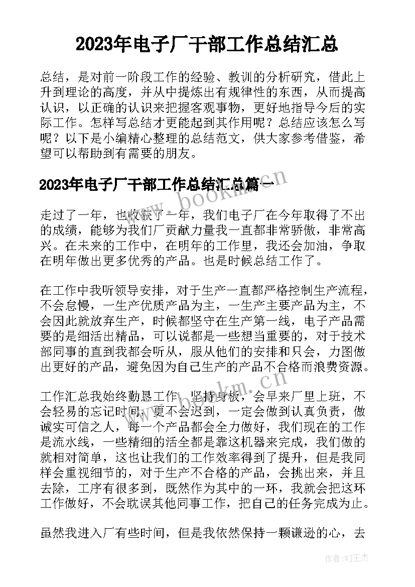 2023年电子厂干部工作总结汇总