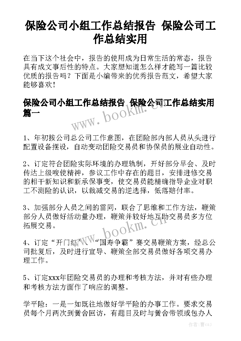 保险公司小组工作总结报告 保险公司工作总结实用