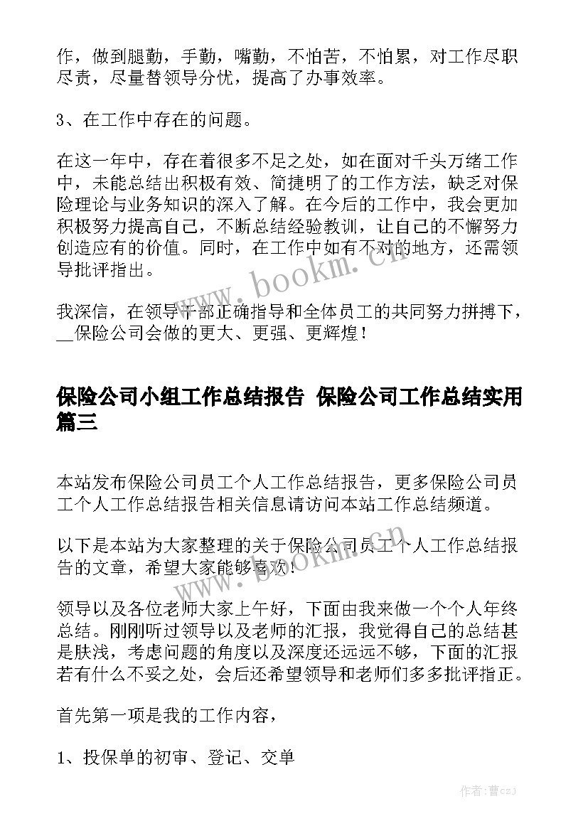 保险公司小组工作总结报告 保险公司工作总结实用