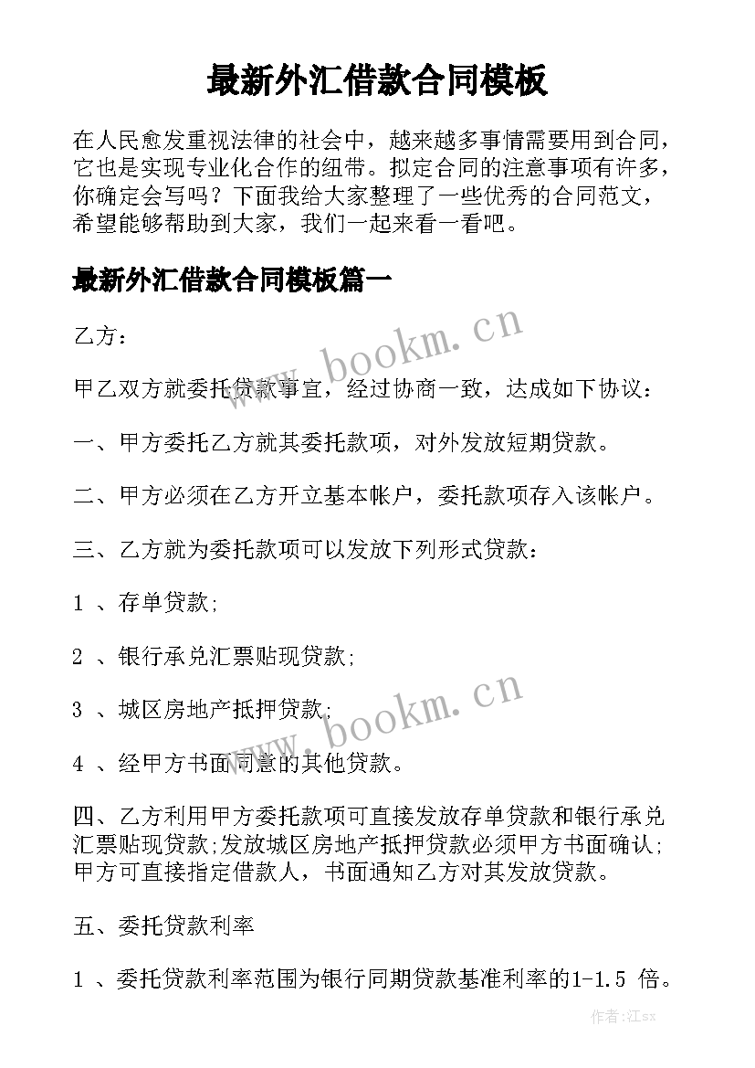 最新外汇借款合同模板