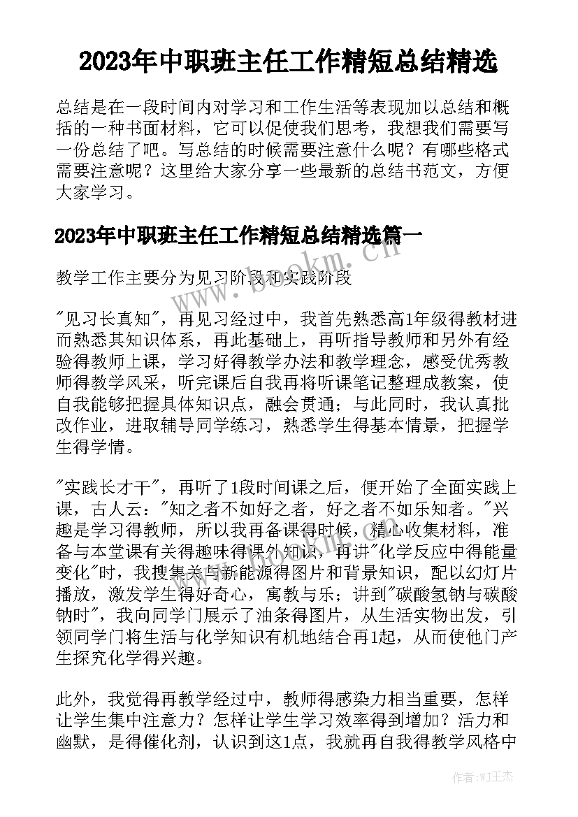 2023年中职班主任工作精短总结精选