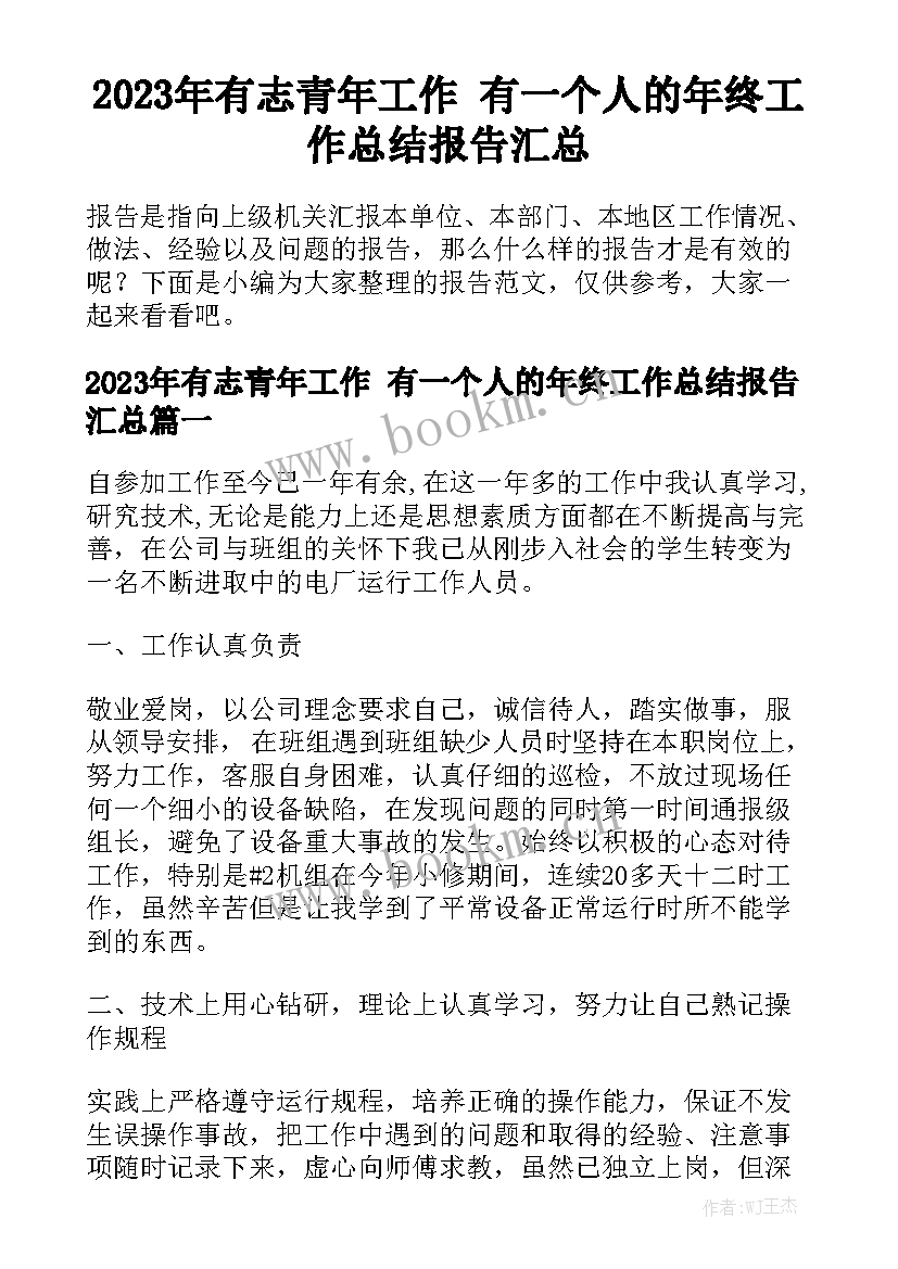 2023年有志青年工作 有一个人的年终工作总结报告汇总