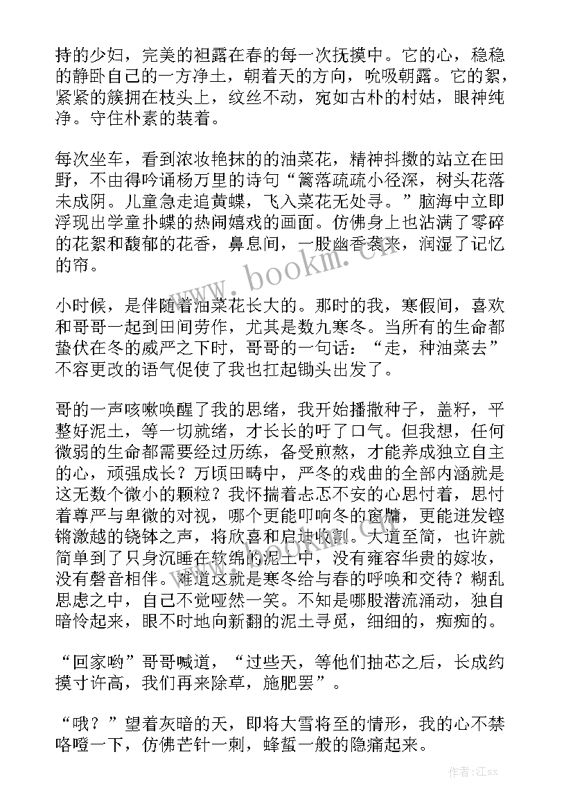 2023年诗意工作总结标题优质