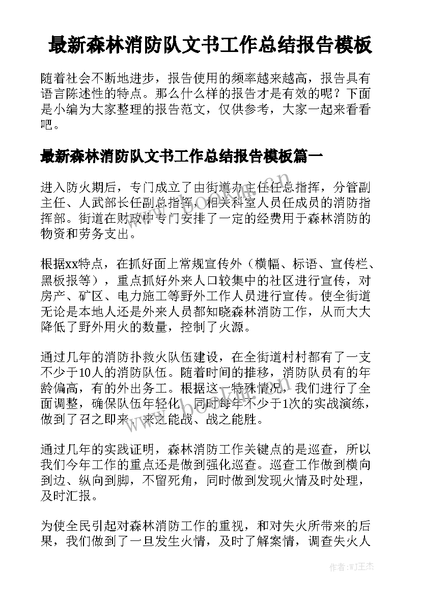 最新森林消防队文书工作总结报告模板