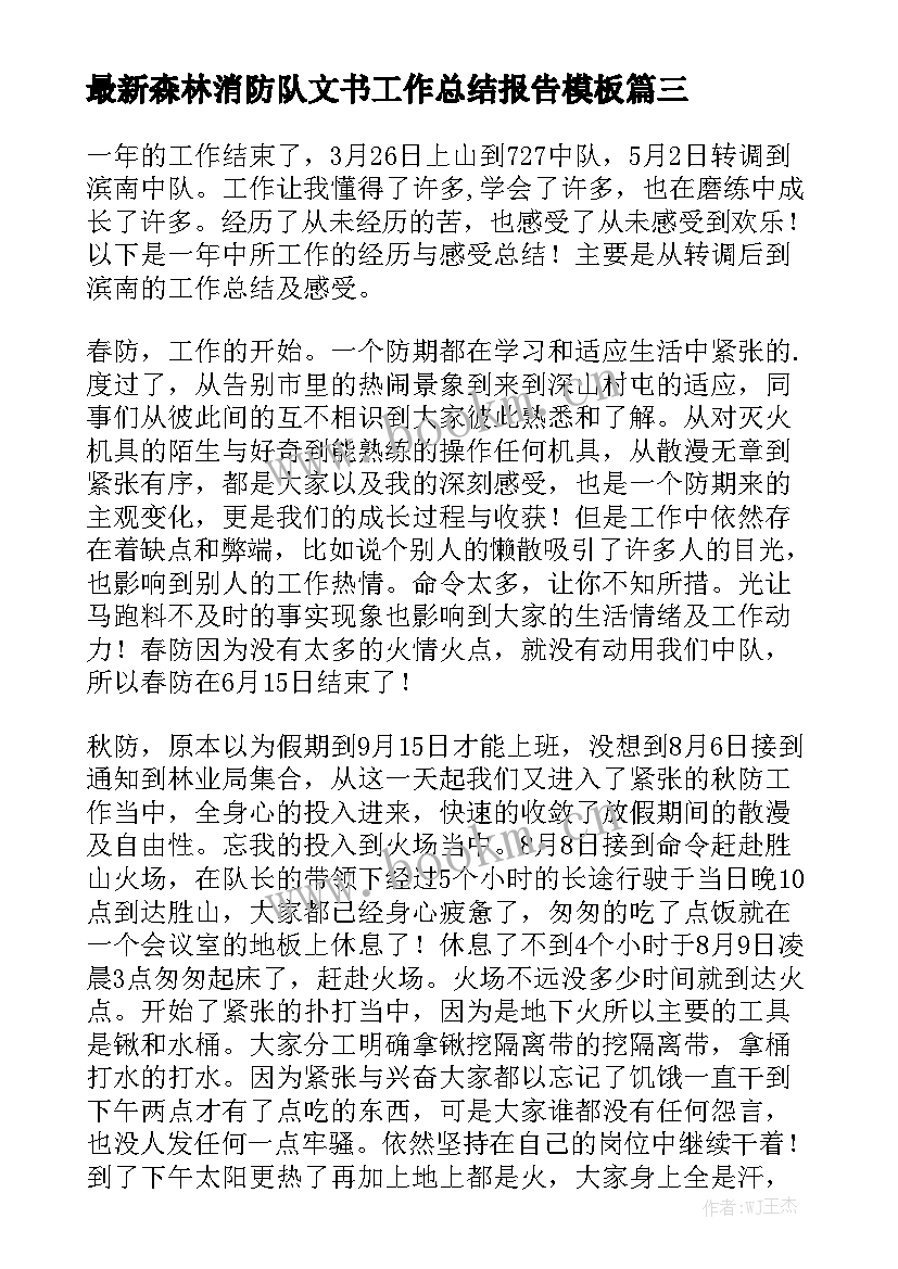 最新森林消防队文书工作总结报告模板