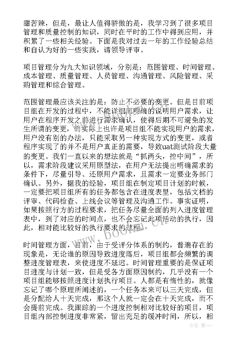 化工工程建设项目年度总结 项目管理工作总结优质