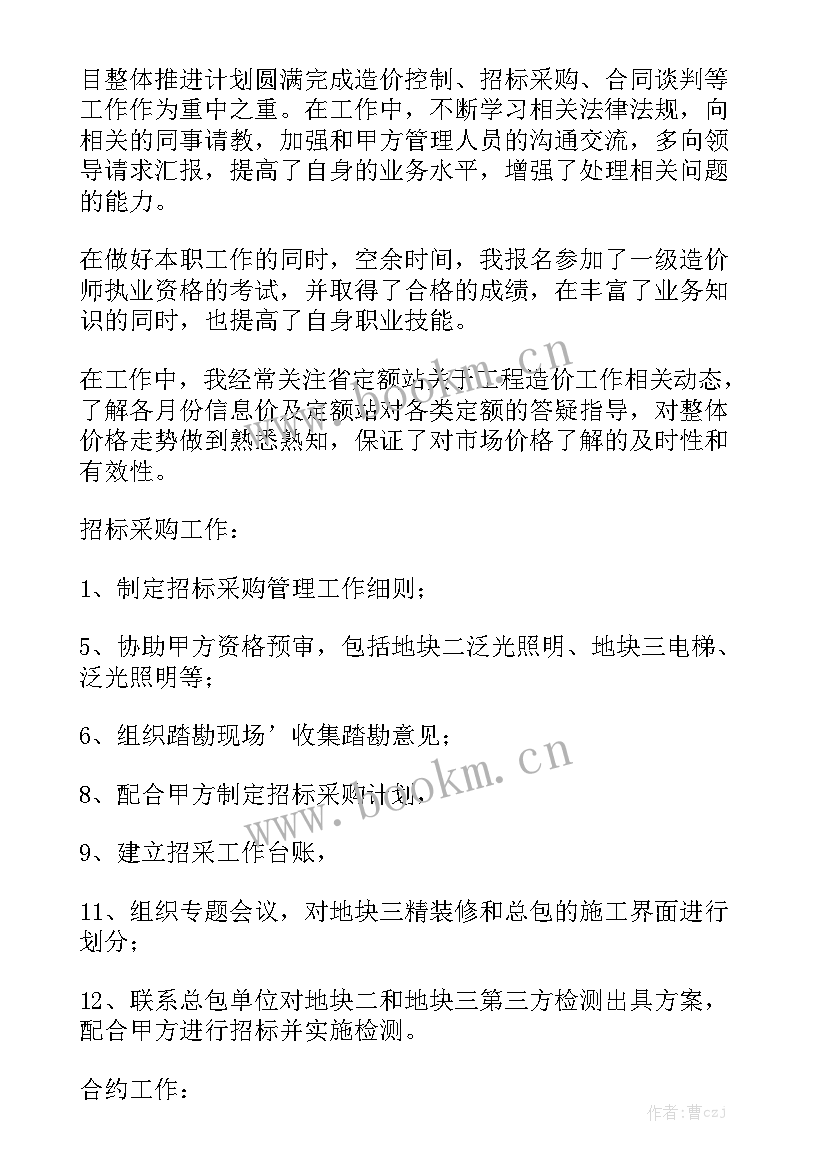 化工工程建设项目年度总结 项目管理工作总结优质