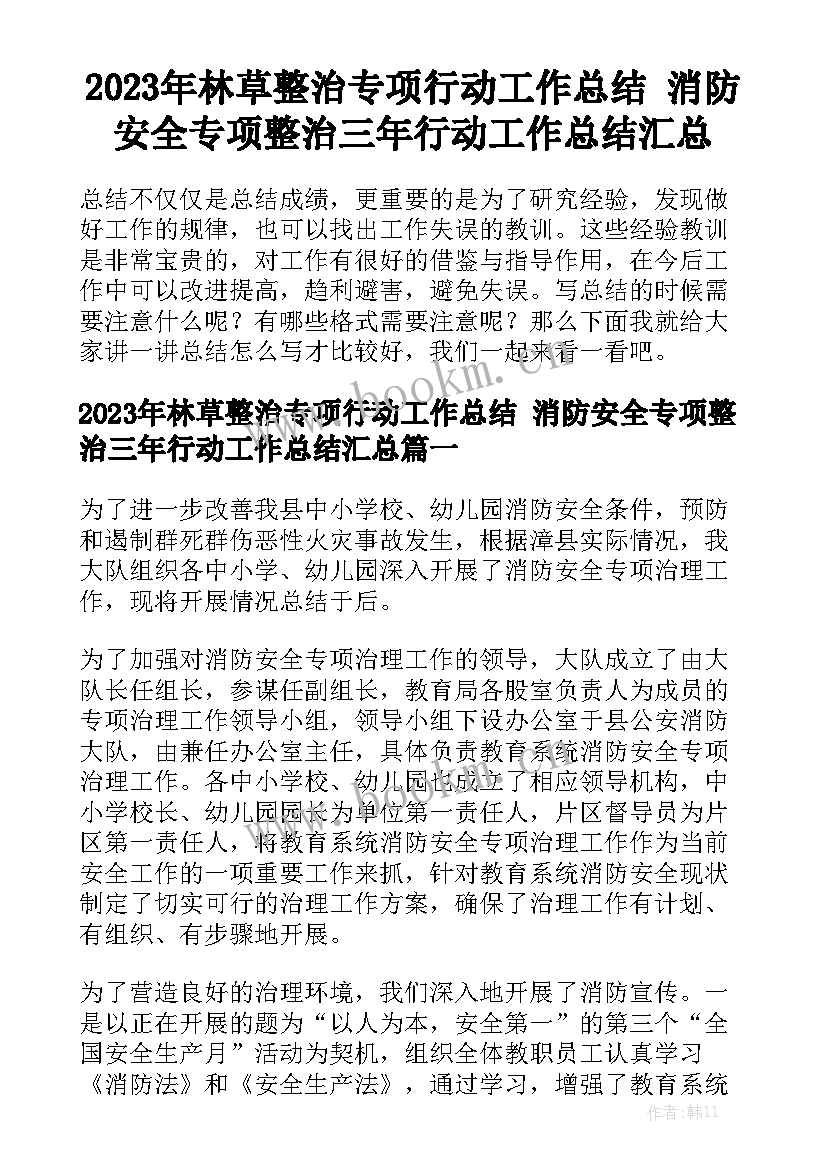 2023年林草整治专项行动工作总结 消防安全专项整治三年行动工作总结汇总