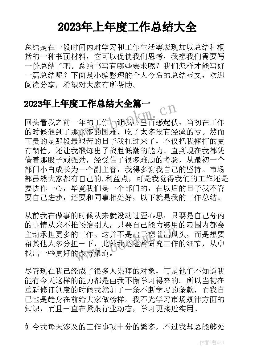 2023年上年度工作总结大全