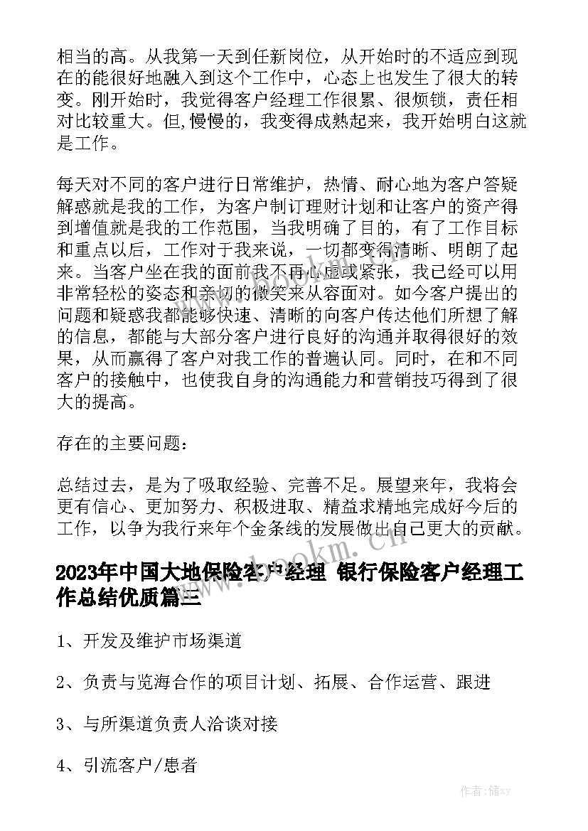 2023年中国大地保险客户经理 银行保险客户经理工作总结优质