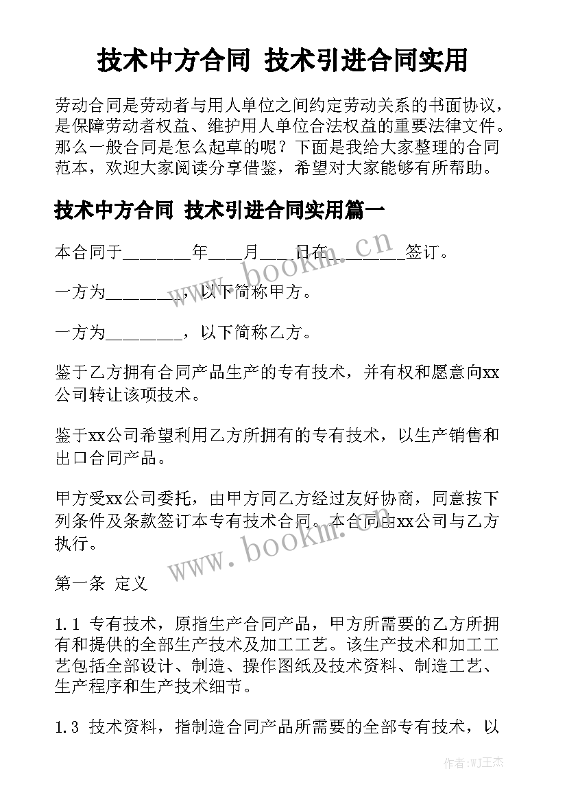 技术中方合同 技术引进合同实用