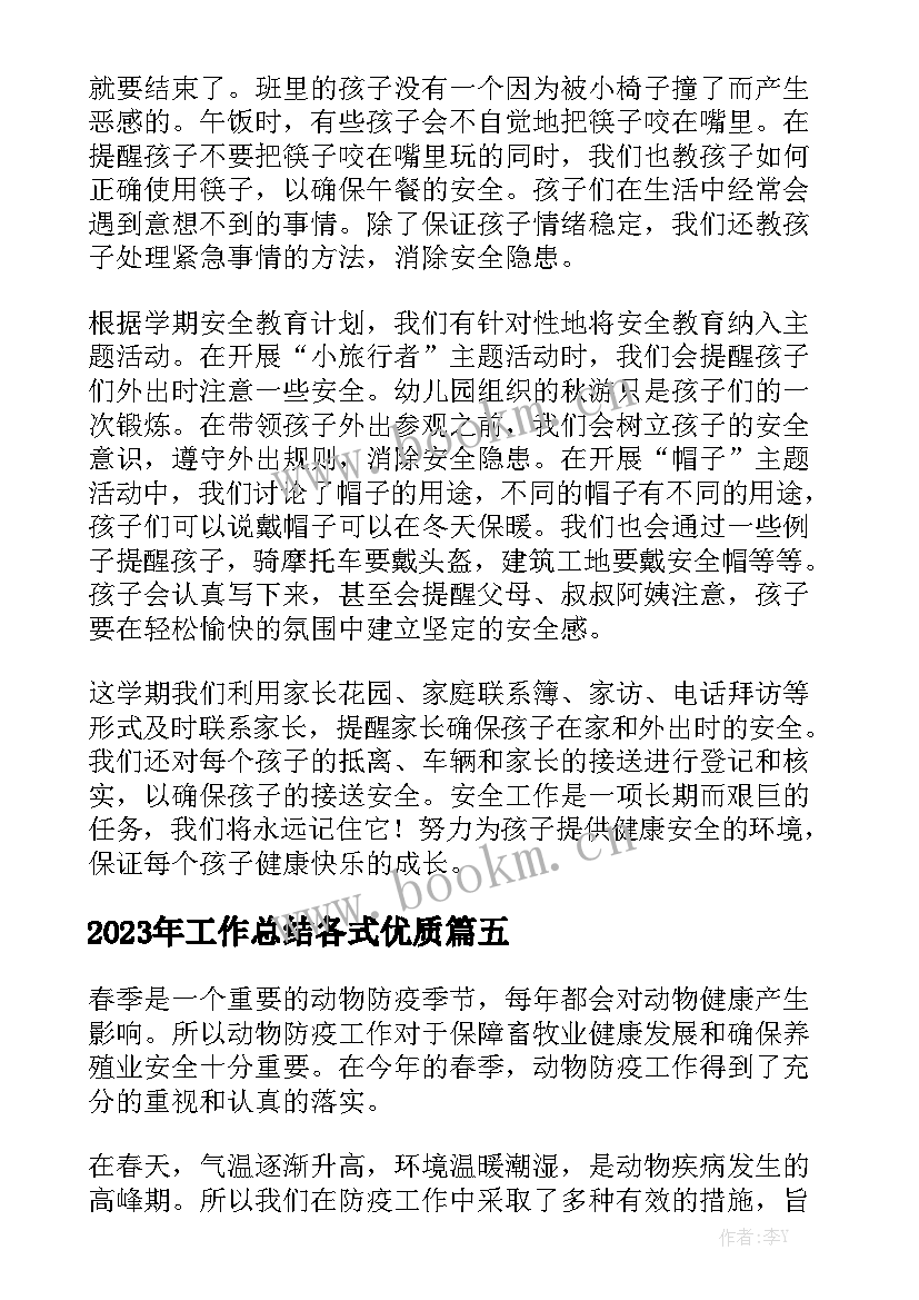 2023年工作总结各式优质