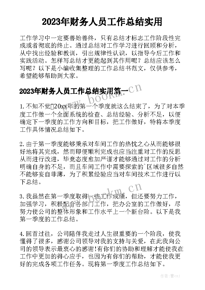 2023年财务人员工作总结实用