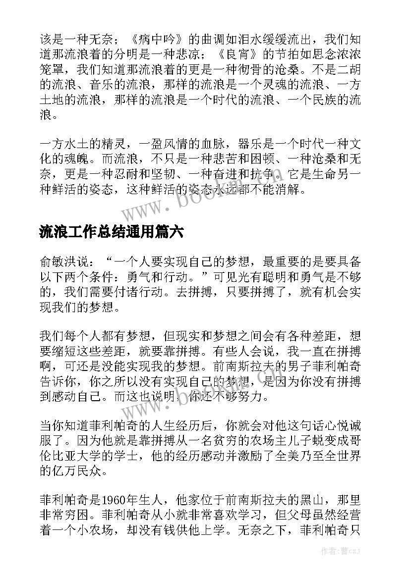 流浪工作总结通用