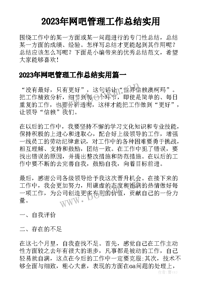 2023年网吧管理工作总结实用