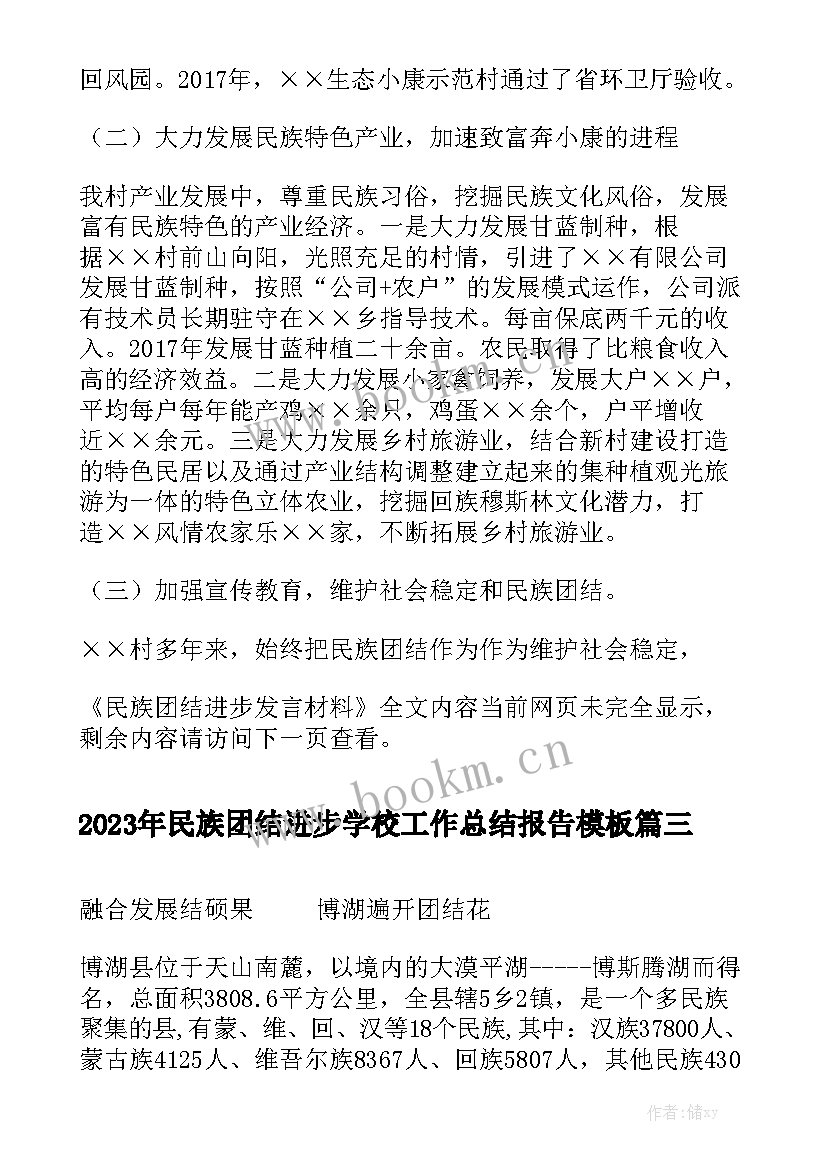 2023年民族团结进步学校工作总结报告模板