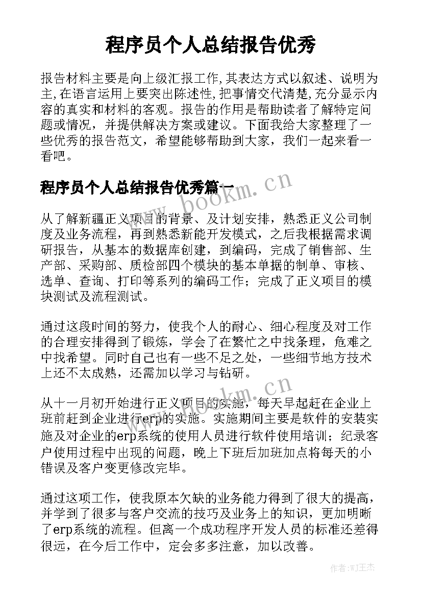 程序员个人总结报告优秀