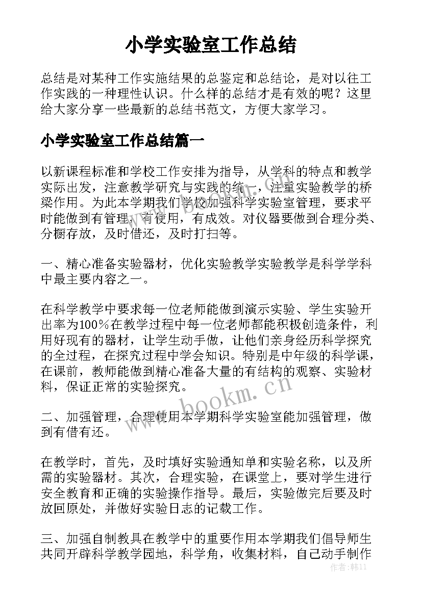 小学实验室工作总结