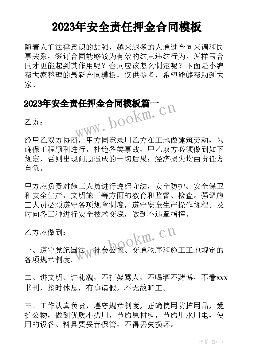 2023年安全责任押金合同模板