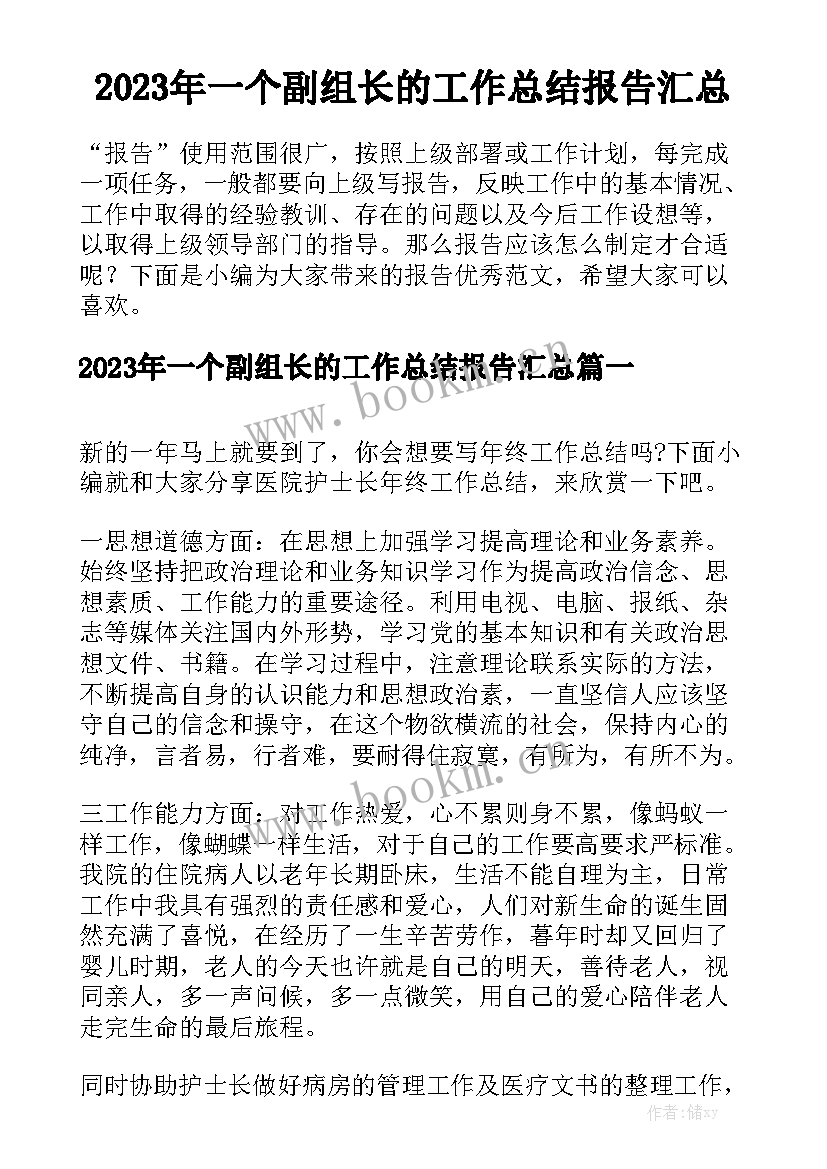 2023年一个副组长的工作总结报告汇总