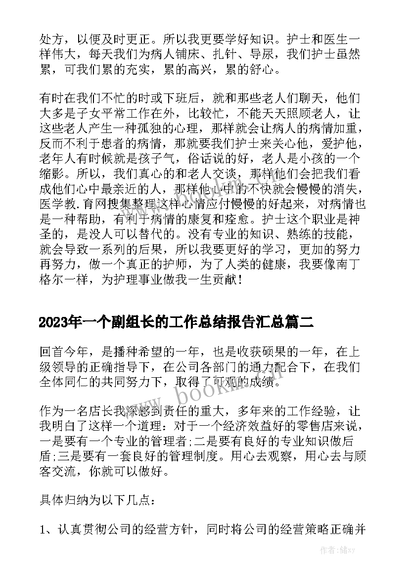 2023年一个副组长的工作总结报告汇总