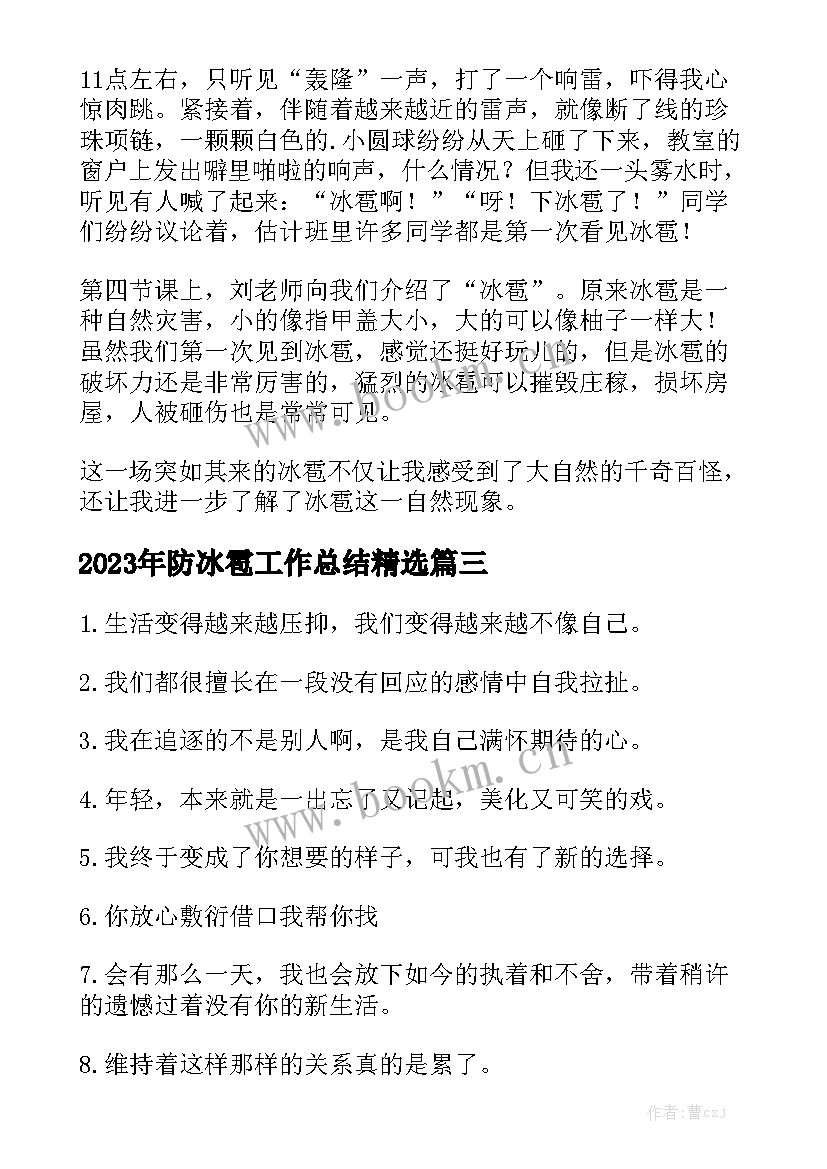 2023年防冰雹工作总结精选