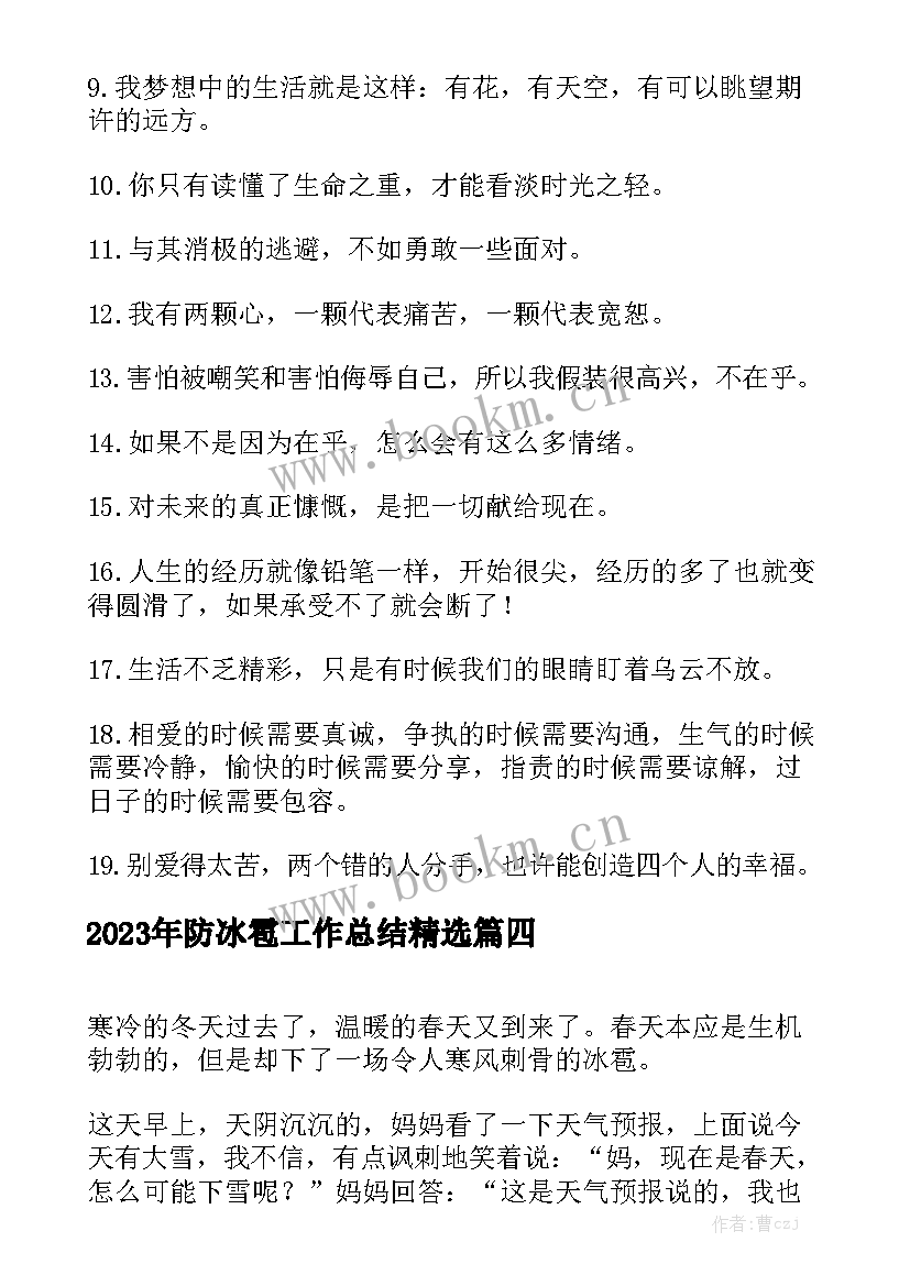 2023年防冰雹工作总结精选