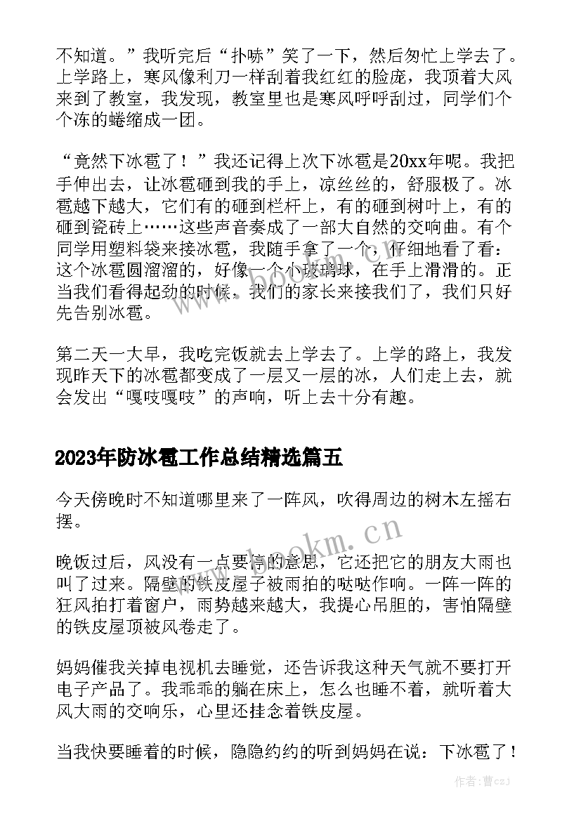 2023年防冰雹工作总结精选