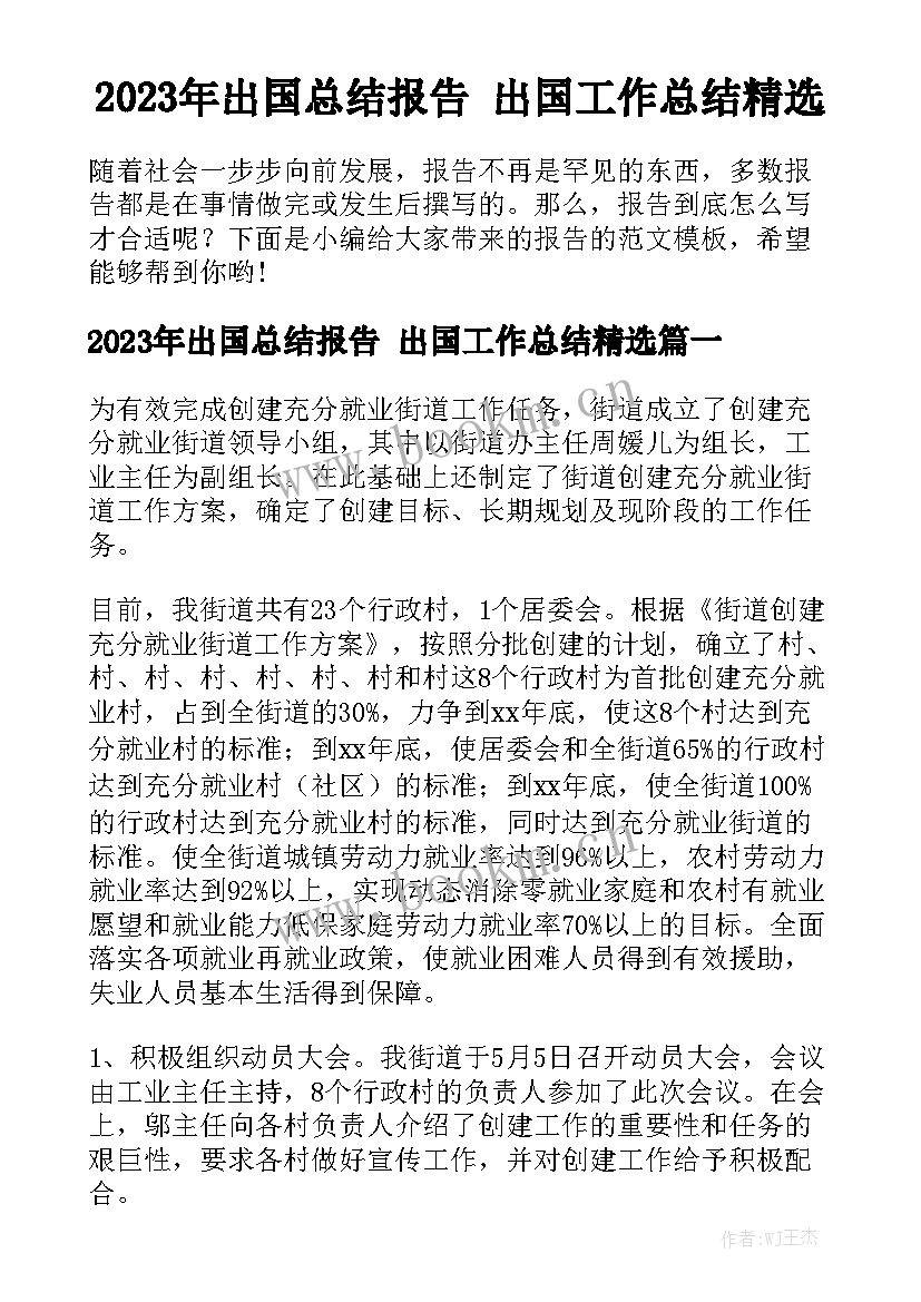 2023年出国总结报告 出国工作总结精选