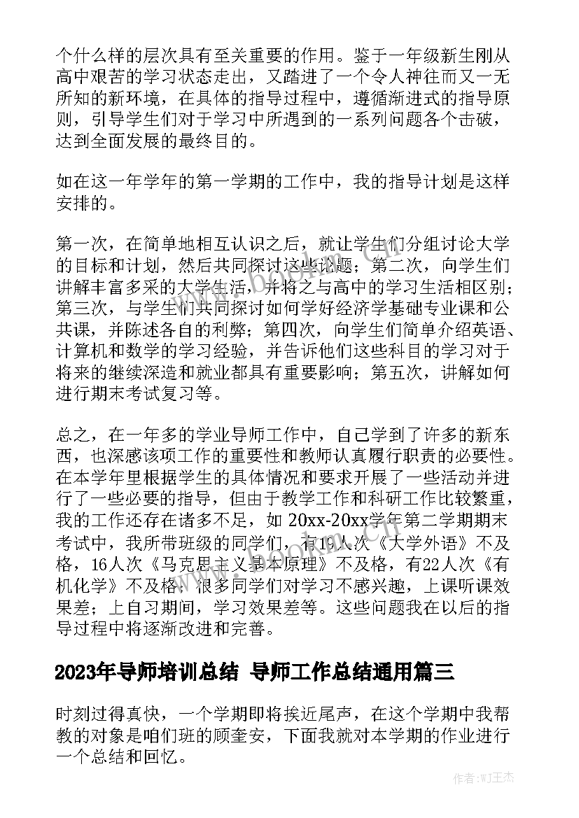 2023年导师培训总结 导师工作总结通用