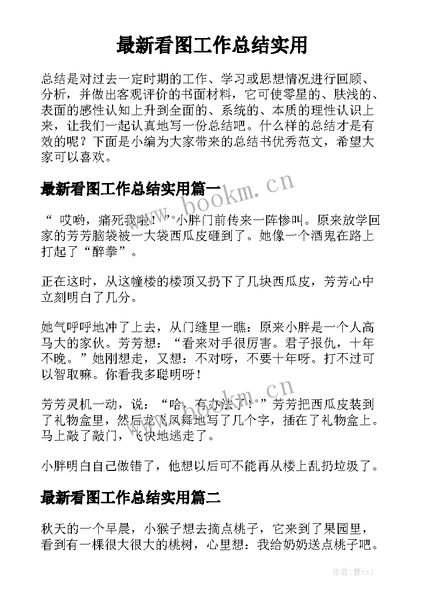 最新看图工作总结实用