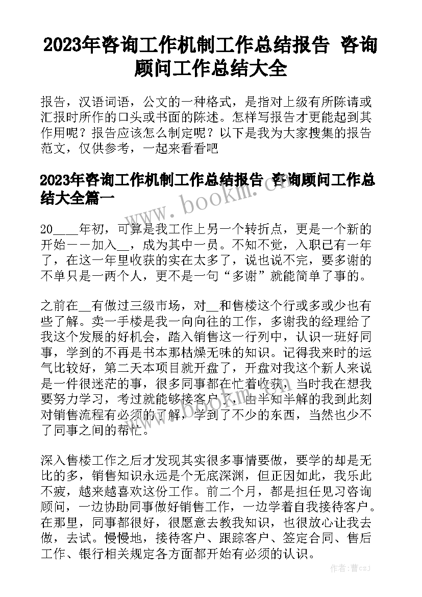 2023年咨询工作机制工作总结报告 咨询顾问工作总结大全