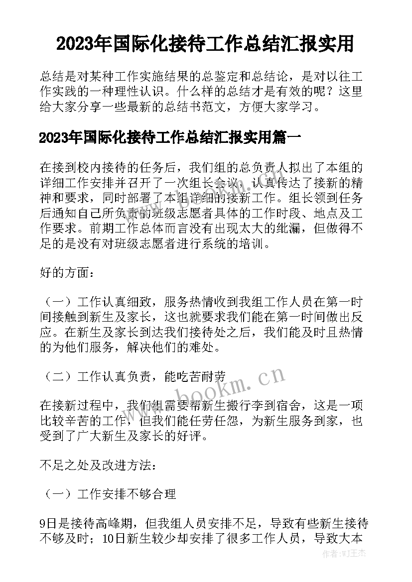 2023年国际化接待工作总结汇报实用