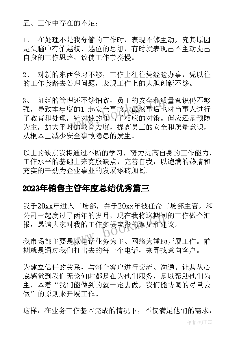 2023年销售主管年度总结优秀