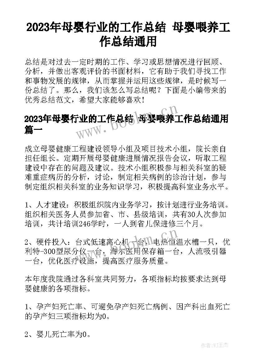 2023年母婴行业的工作总结 母婴喂养工作总结通用