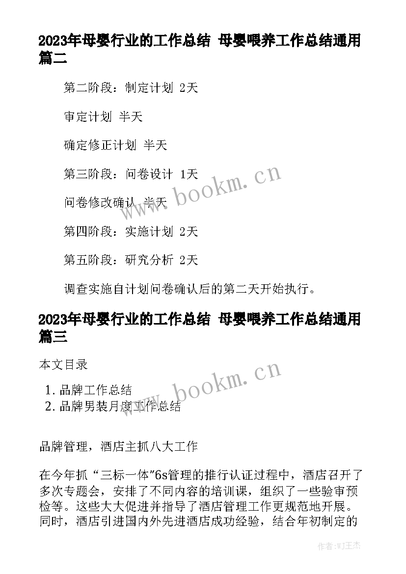 2023年母婴行业的工作总结 母婴喂养工作总结通用